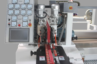 Full Automatic Straight Line Glass Edging Machine 20 Motors Customized supplier